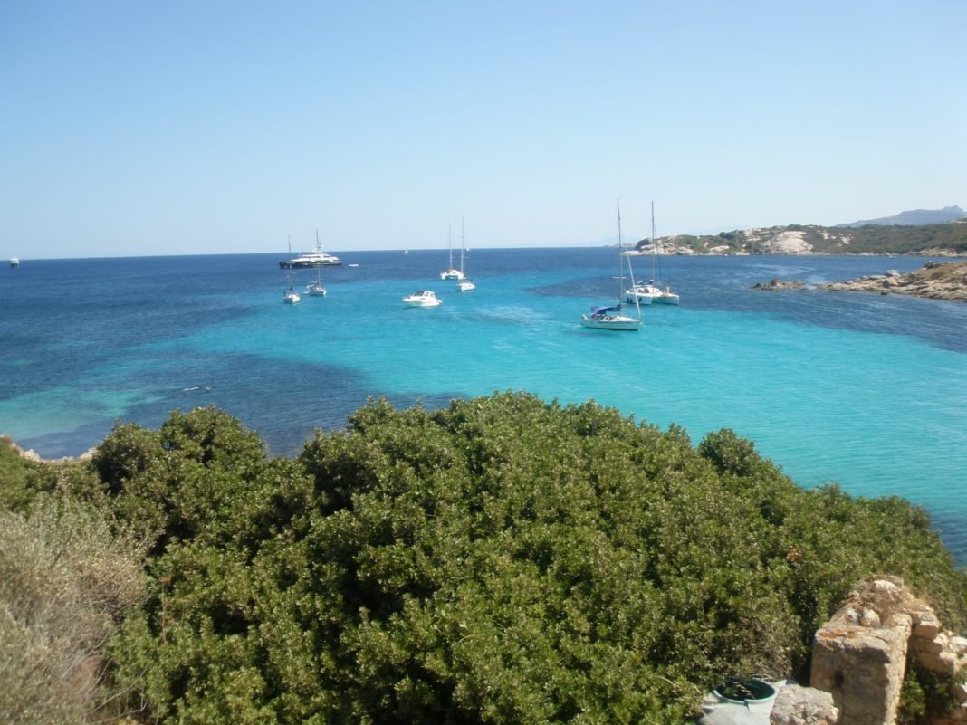 calvi