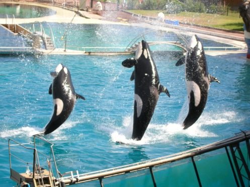 marineland