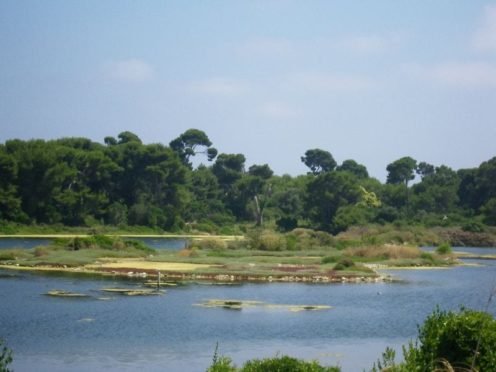 ile ste marguerite
