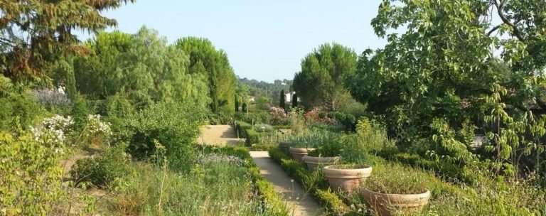 Ballade zen dans les jardins de parfums…