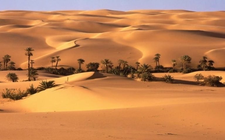 A la conquête du Trophée Roses des Sables
