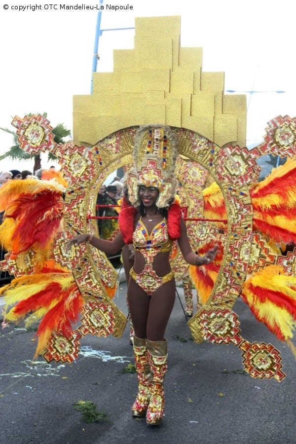 fete du mimosa