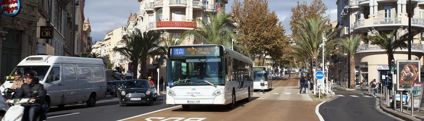 palm bus cannes night