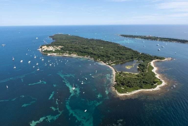 Vos sorties en mer avec Trans Côte d’Azur