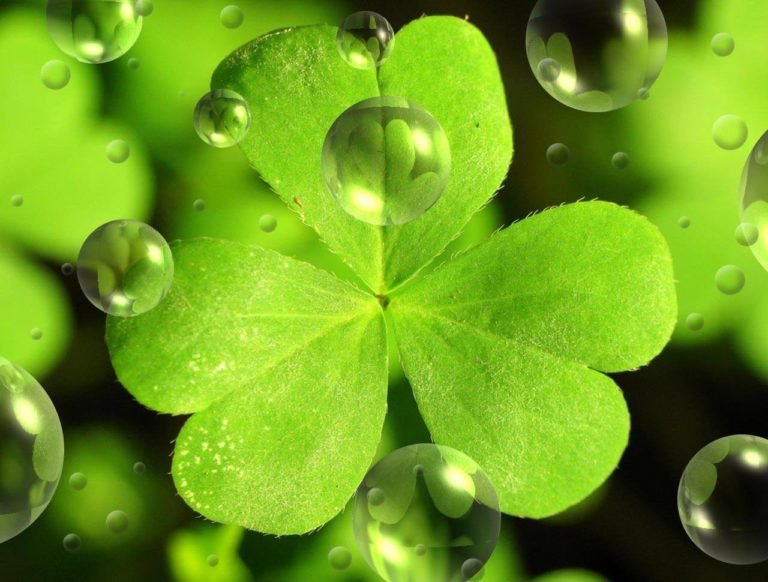 Mardi 17 mars, on fête la St Patrick !
