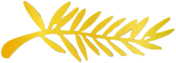 Palme-d-or