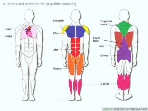 stand-up-paddle-boarding-workout-and-fitness-GWS