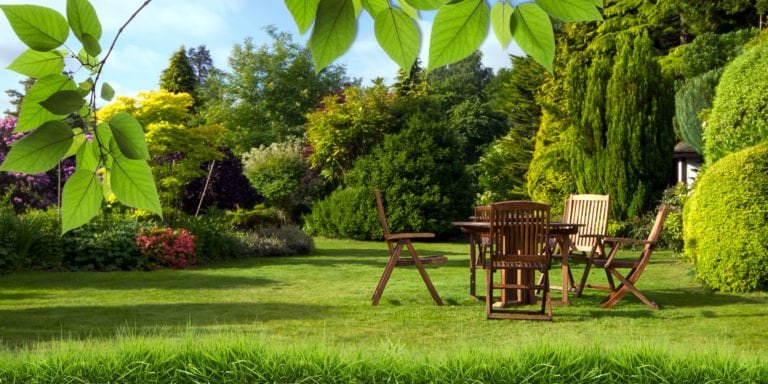 Pourquoi et comment entretenir ses espaces verts ?