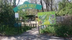 canyon forest cannes tendances activité enfant activité cannes activité nice activité pleine air villeneuve loubet