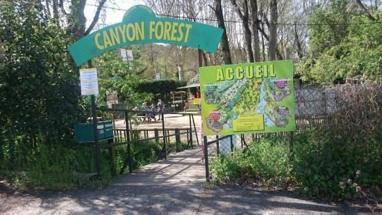 canyon forest cannes tendances activité enfant activité cannes activité nice activité pleine air villeneuve loubet