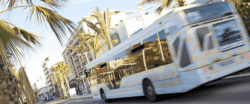 palm bus cannes palm night cannes cannes tendances bus cannes bus nice bus cotes d azur horaires bus cannes