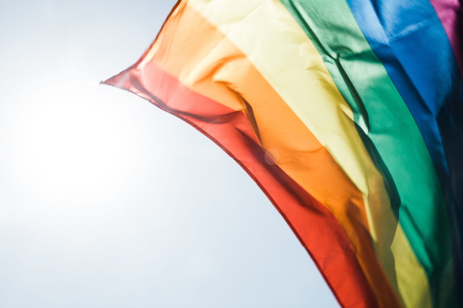 PINK Parade 2017 Marche Azuréenne des Visibilité LGBT+