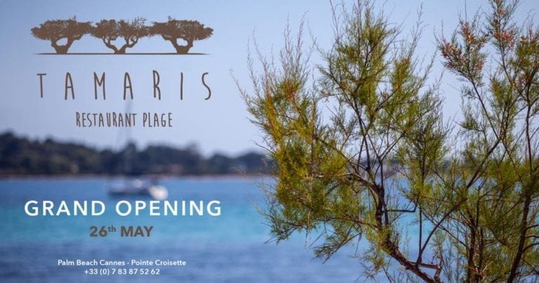GRAND OPENING // SAMEDI 26 MAI de TAMARIS PLAGE au PALM BEACH☀️