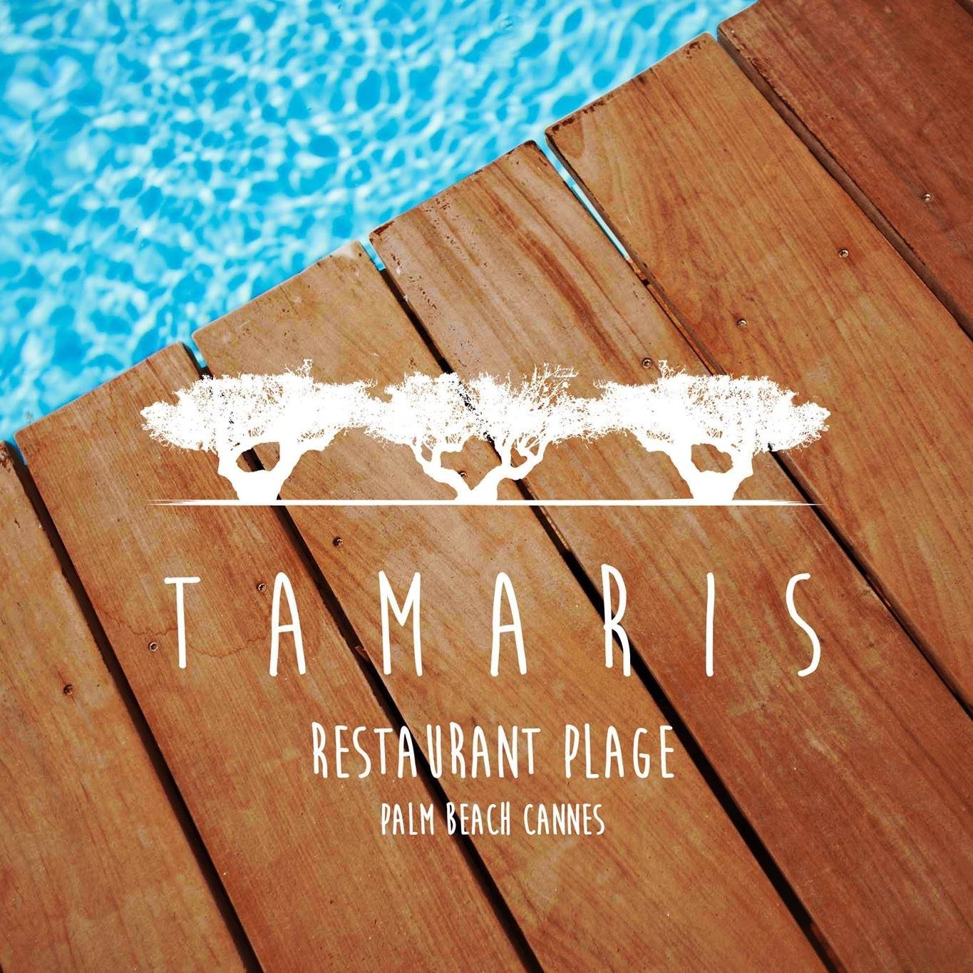 opening tamaris plage au palm beach cannes, soiree dj, plage chic