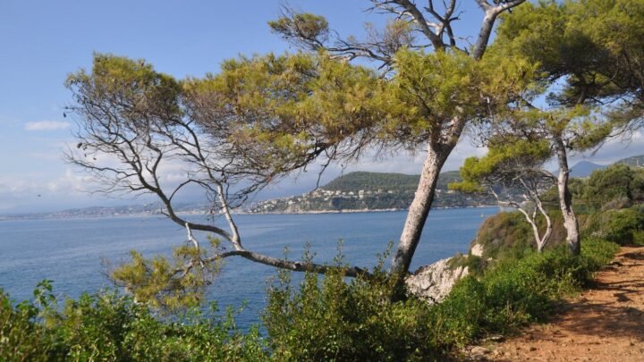 Alpes-Maritimes: une rue bientôt renommée "Brigitte Bardot" à Villeneuve-Loubet?