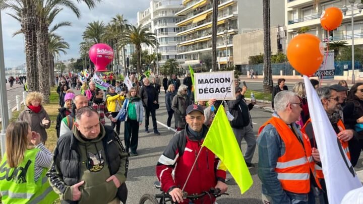 Carnaval de Nice, des vers pour protéger les palmiers… Le décodage de Nice-Presse
