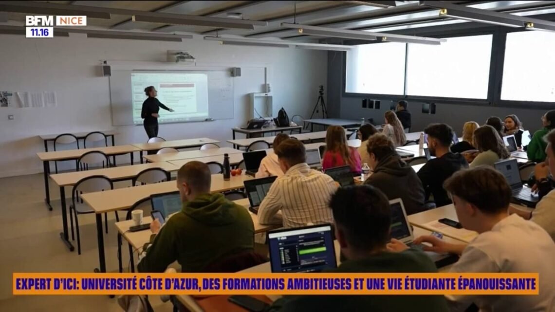Expert d'Ici : université Côte d'Azur, des formations ambitieuses Expert d'Ici : université Côte d'Azur, des formations ambitieuses