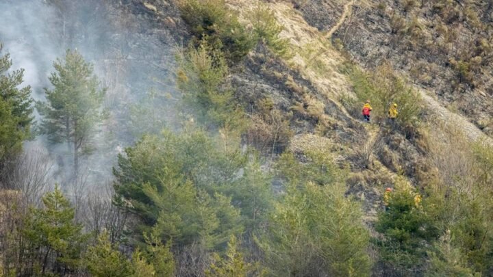 Feu de forêt dans la vallée de la Roya : Alpes-Maritimes en alerte