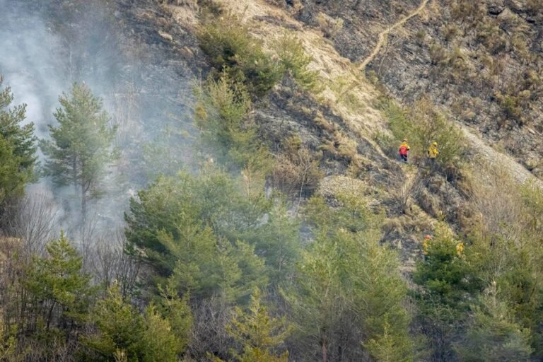 Feu de forêt dans la vallée de la Roya : Alpes-Maritimes en alerte
