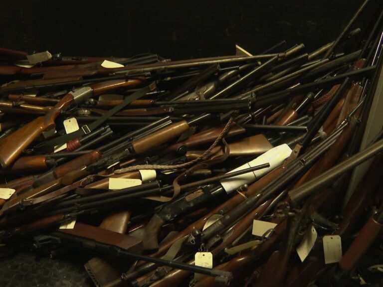 Gendarmes à Mandelieu-la-Napoule : Recensement des Armes Détenues par les Particuliers