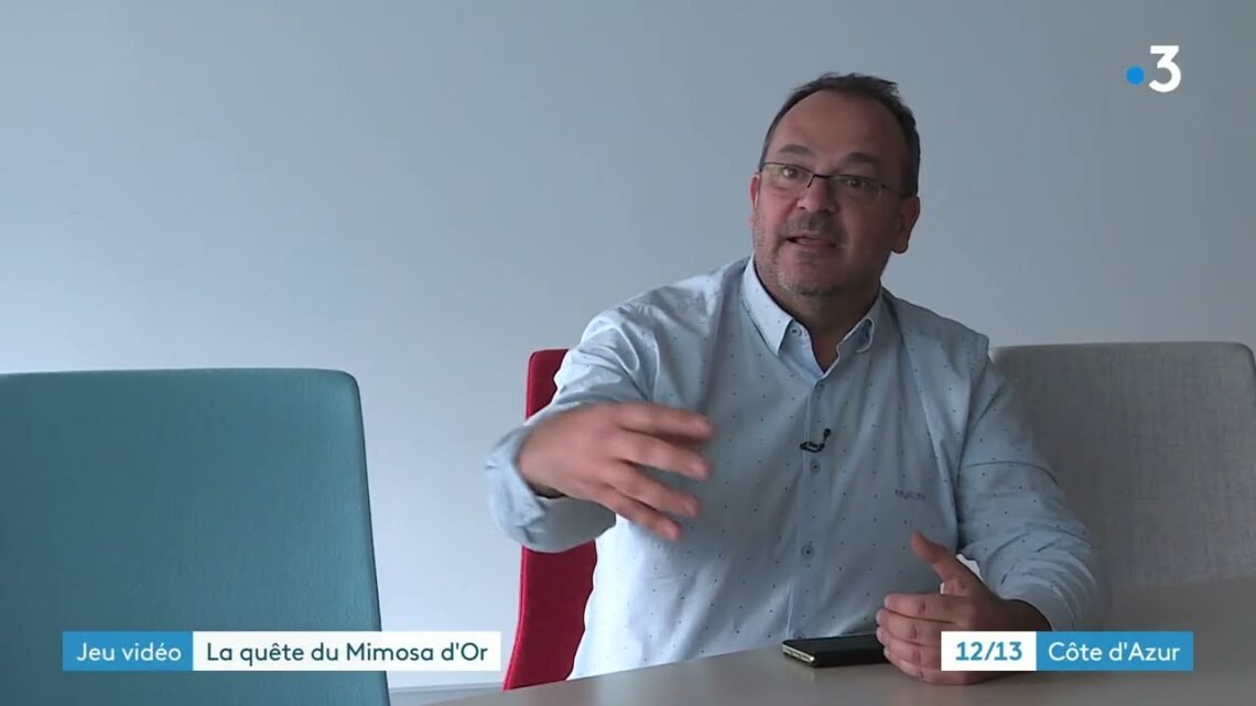 Le mimosa se décline aussi en jeu vidéo Le mimosa se décline aussi en jeu vidéo