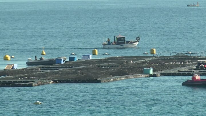 Le projet de ferme aquacole au large de Vallauris Golfe Juan suscite de vives oppositions