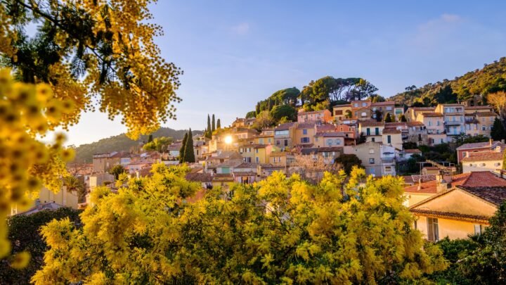 Ne manquez pas les incontournables de la Fête du Mimosa 2023 sur la Côte d’Azur