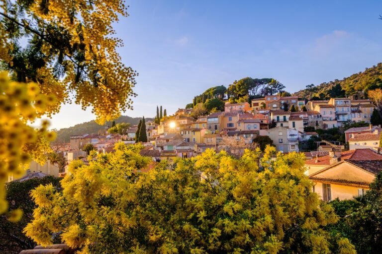 Ne manquez pas les incontournables de la Fête du Mimosa 2023 sur la Côte d’Azur