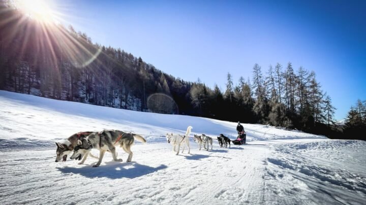 Profitez de notre Mag’ hiver !