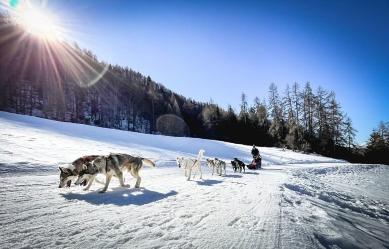 Profitez de notre Mag&rsquo; hiver !