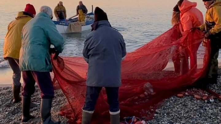 Alpes-Maritimes: La fin de la pêche à la poutine est-elle proche?