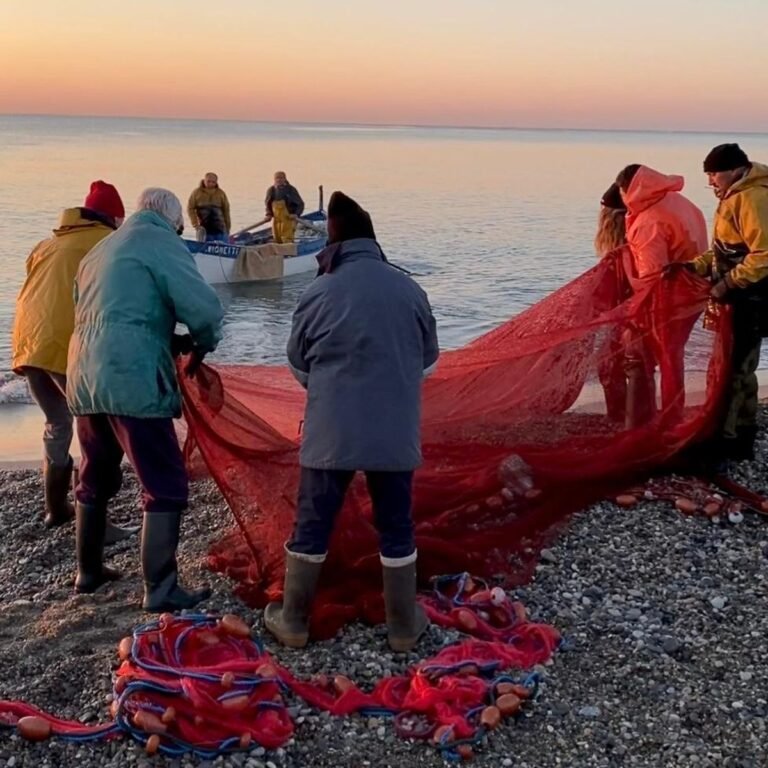 Alpes-Maritimes: La fin de la pêche à la poutine est-elle proche?