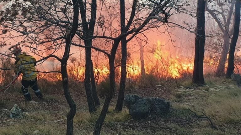 Saint-Vallier-de-Thiey: l&rsquo;incendie maîtrisé après 20 hectares de dégâts dans les Alpes-Maritimes
