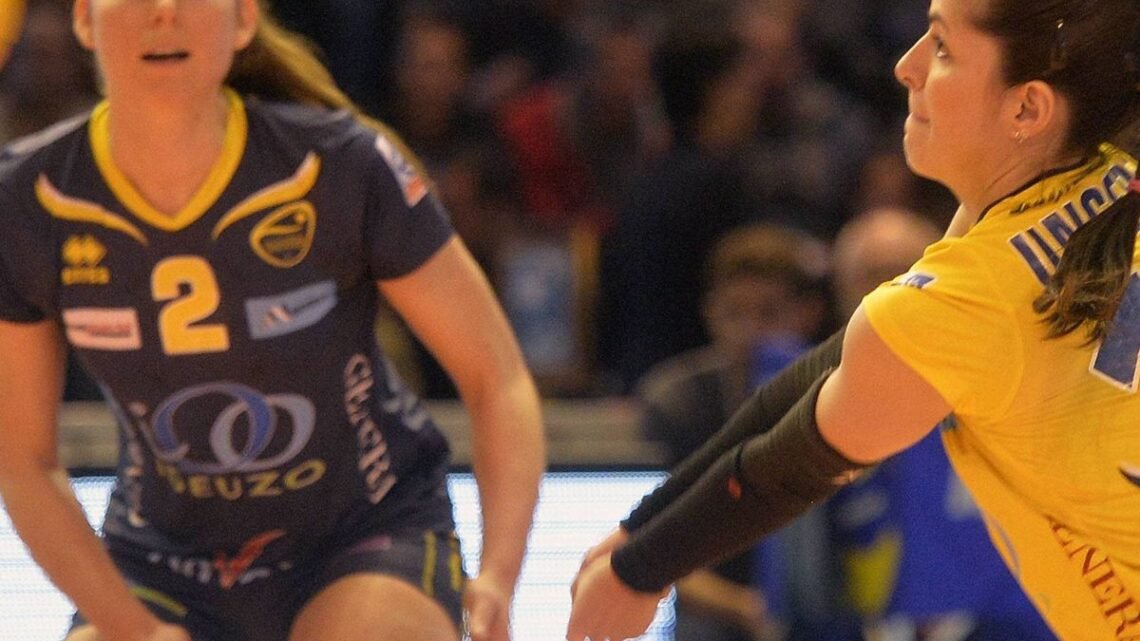 Volley-ball : Le REC à Cannes Pour Réaliser L'exploit En Playoffs De La ...