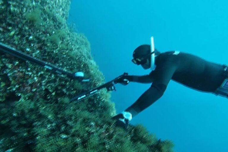 « Début de la saison de la chasse sous-marine à Cannes »