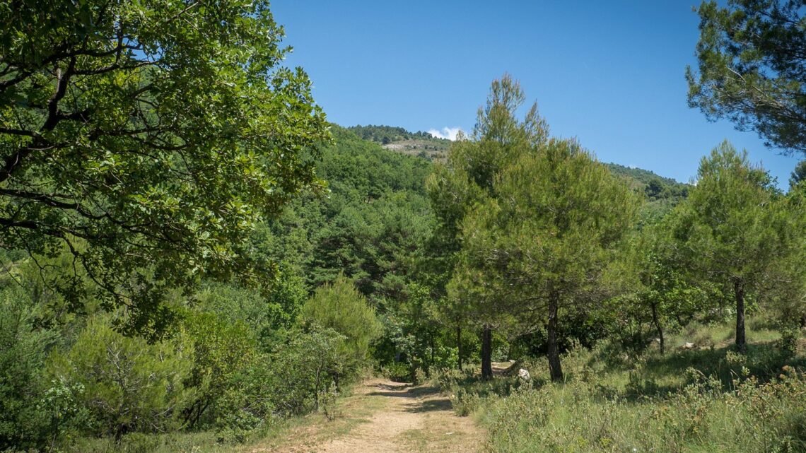 Le parc naturel départemental de Roquevignon étend ses frontières ! Le parc naturel départemental de Roquevignon étend ses frontières !