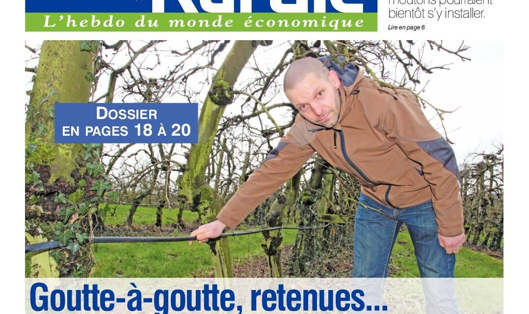 Les agriculteurs des Alpes-Maritimes appellent à un « plan Marshall » pour faire face à la sécheresse. Les agriculteurs des Alpes-Maritimes appellent à un « plan Marshall » pour faire face à la sécheresse.