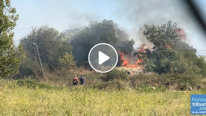 Titre alternatif: Un feu dévaste 2km² d’un massif à Saint-Auban