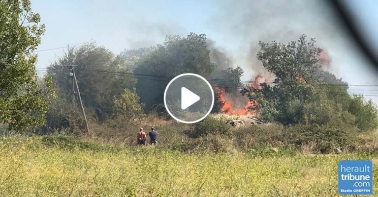 Titre alternatif: Un feu dévaste 2km² d’un massif à Saint-Auban