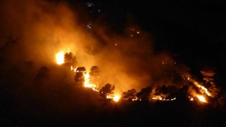 Un feu ravageur dévaste la végétation lors d’un incendie à La Trinité