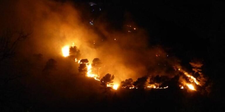 Un feu ravageur dévaste la végétation lors d’un incendie à La Trinité