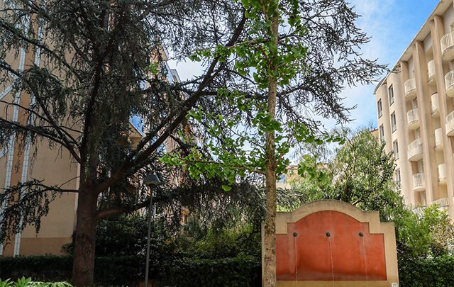 Modification du titre : La plantation de l’arbre de l’Ordre national du mérite dans la ville de Cannes