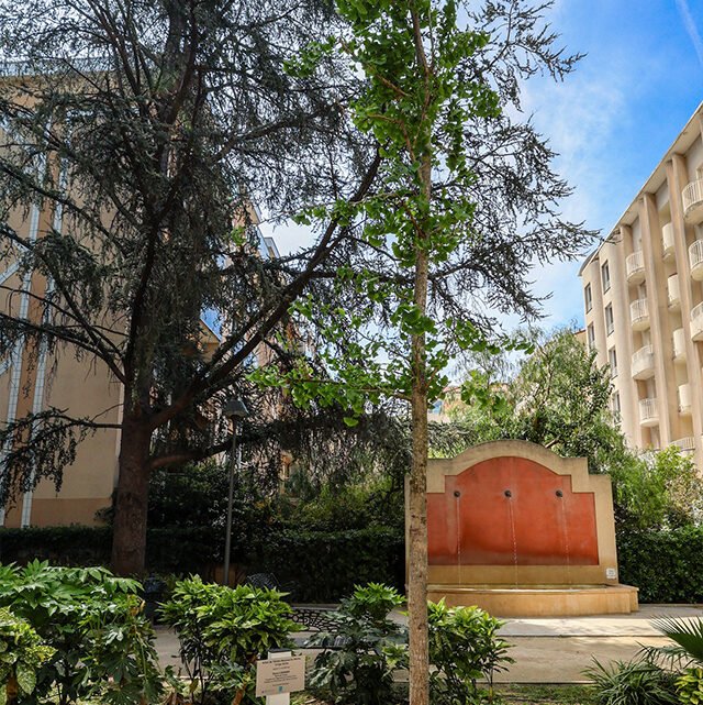 Modification du titre : La plantation de l’arbre de l’Ordre national du mérite dans la ville de Cannes Modification du titre : La plantation de l’arbre de l’Ordre national du mérite dans la ville de Cannes