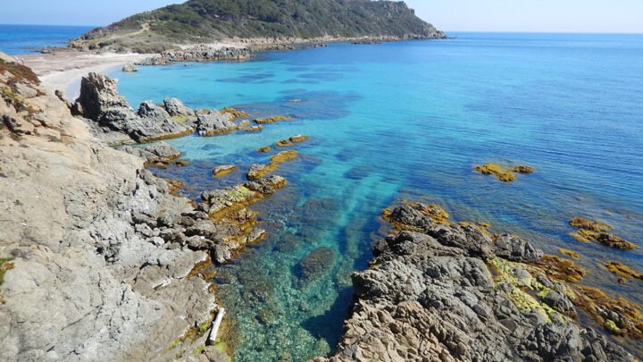 Cap Taillat : un joyau préservé grâce au Conservatoire du Littoral