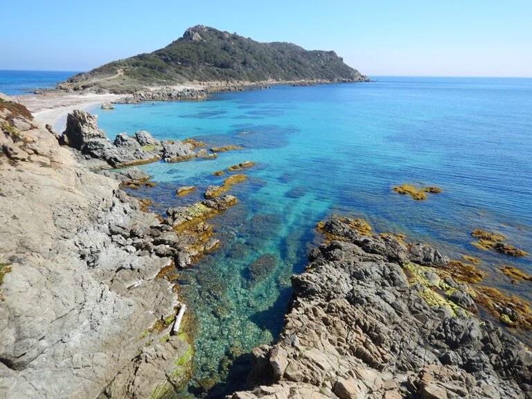 Cap Taillat : un joyau préservé grâce au Conservatoire du Littoral