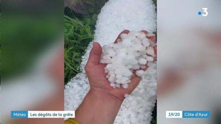 Importants dégâts chez les maraîchers de Grasse suite à un violent orage de grêle le jeudi 15 juin