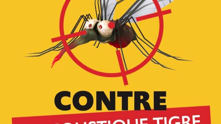La mairie de Mougins offre des subventions à ses habitants pour combattre l’infestation des moustiques