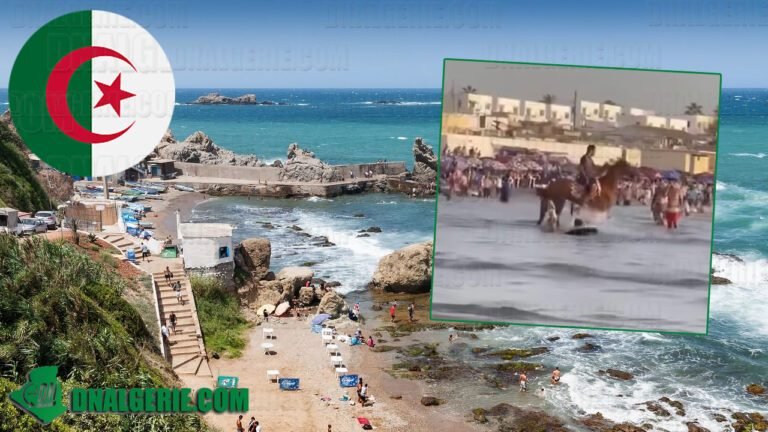 MÉDITERRANÉE – L&rsquo;Algérie s&rsquo;ouvre timidement au tourisme