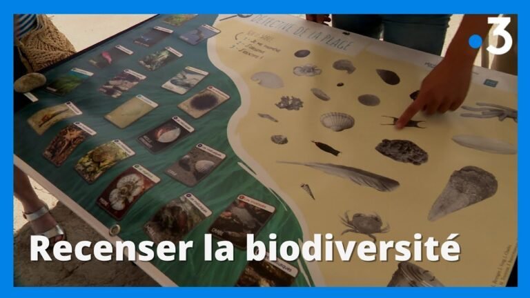Planète Mer : observer et recenser la biodiversité à Marseille