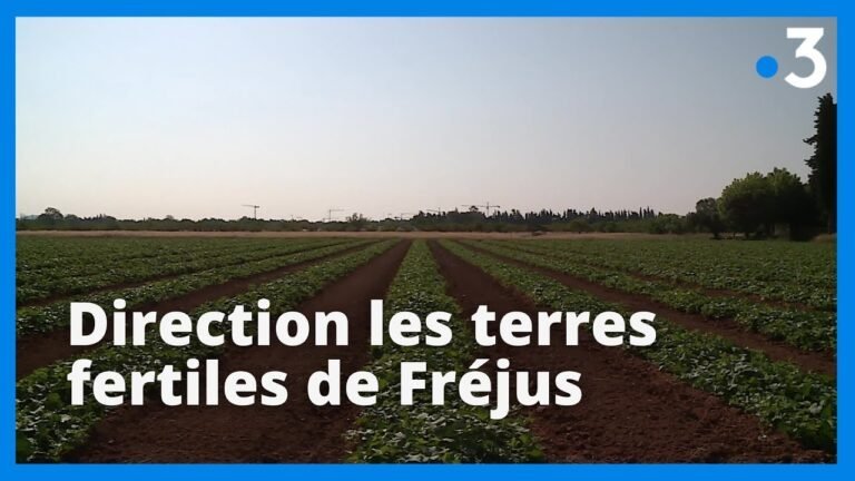 À Fréjus : les maraîchers et les viticulteurs luttent pour sauvegarder leurs professions